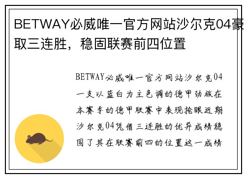 BETWAY必威唯一官方网站沙尔克04豪取三连胜，稳固联赛前四位置