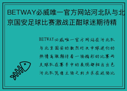 BETWAY必威唯一官方网站河北队与北京国安足球比赛激战正酣球迷期待精彩对决