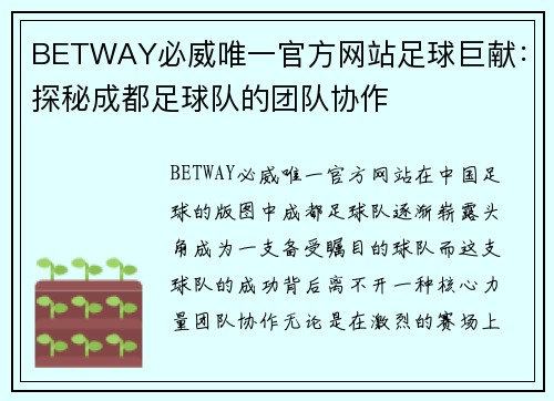 BETWAY必威唯一官方网站足球巨献：探秘成都足球队的团队协作